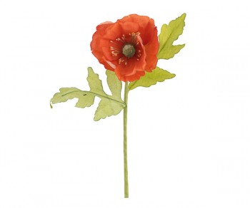 PICK PAPAVERO ARANCIO C/2...