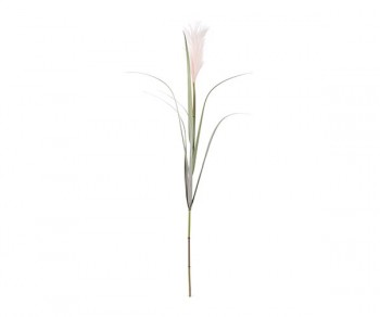 RAMO FESTUCA ROSA