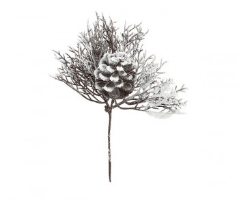 PICK PIGNA+RAMETTI CORALLO...