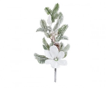RAMO PINO-MAGNOLIA-BACCHE...