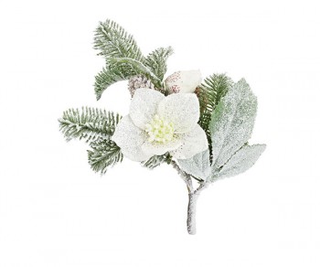PICK ELLEBORO BIANCO...