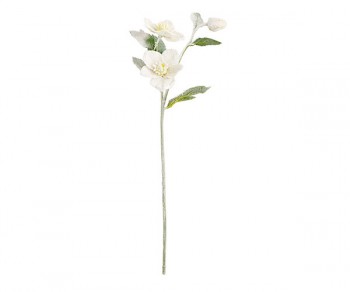 RAMO ELLEBORO BIANCO INNEVATO