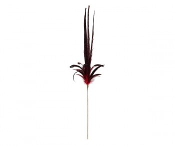 PIUME BORDEAUX H.810 (    8)