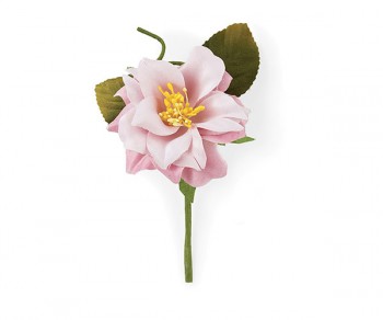 PICK ROSA SELVATICA ROSA...