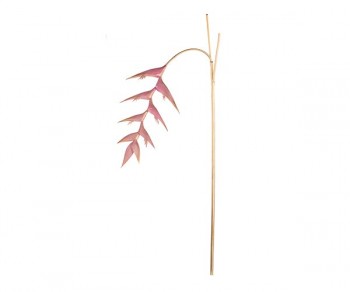 RAMO HELICONIA ORO/ROSA...