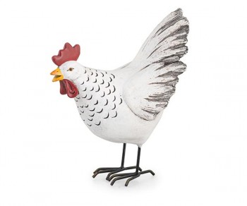 GALLINA BIANCA H.300 (1)