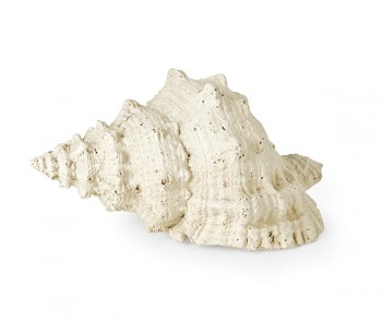 CONCHIGLIA L.210 (4)