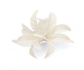 GIGLI C/MOLLETTA AVORIO...