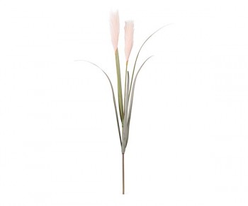 RAMO 2 FESTUCHE ROSA H.940...