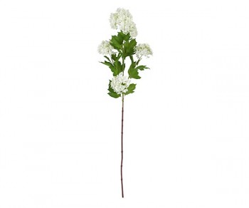 RAMO VIBURNUM BIANCO 860...