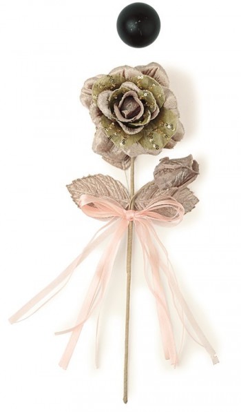 ROSA CHAMPAGNE H.300 (Min.24)