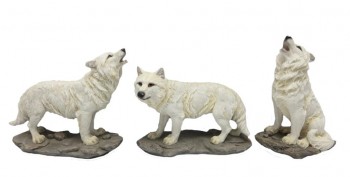 Série De 3 Lobos Brancos...