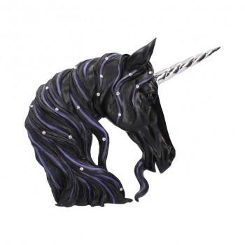 Jewelled Midnight (L) 31cm