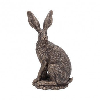 Sit Tight 23.5cm