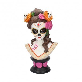 Catrina's Beauty 40cm