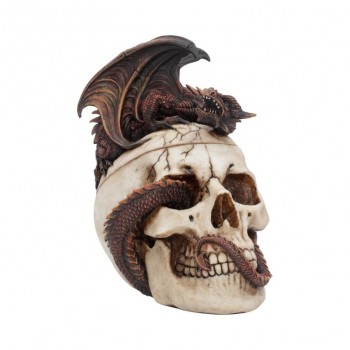 Draconic Craniotomy 19.6cm