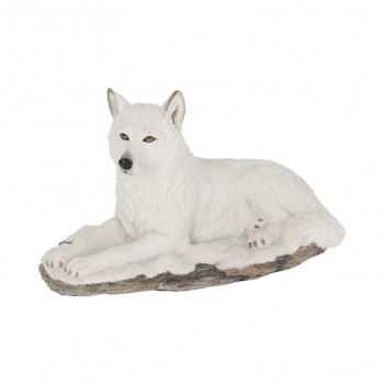 White Shadow 22cm