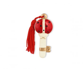 CHIAVE COCCINELLA C/NAPPA...