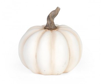 ZUCCA AVORIO (D.90) Minimo 8
