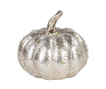 ZUCCA CHAMPAGNE (D.150)...