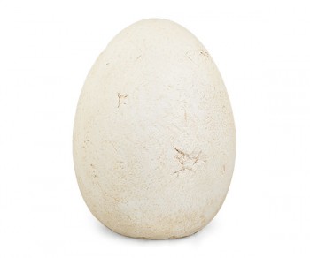 STELLA ORO DA APP. (H.170)...