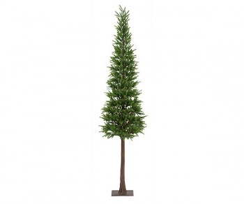 ALBERO PINO (H.1300) Minimo 2