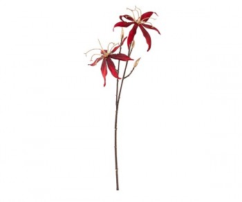 RAMO GLORIOSA BORDEAUX...