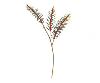 RAMO TORREYA (H.830) Minimo 12