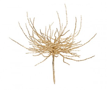 ARECA ORO (D.450X480) Minimo 6