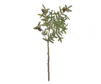 RAMO PINO C/PIGNE (H.1450)...