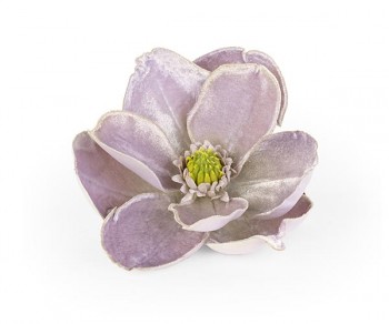 MAGNOLIA LILLA CON CLIP...