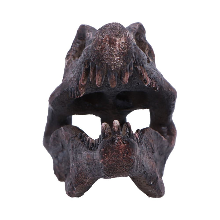 Spinosaurus Skull 16cm