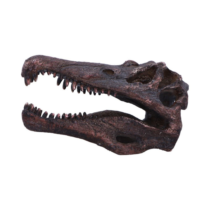 Spinosaurus Skull 16cm
