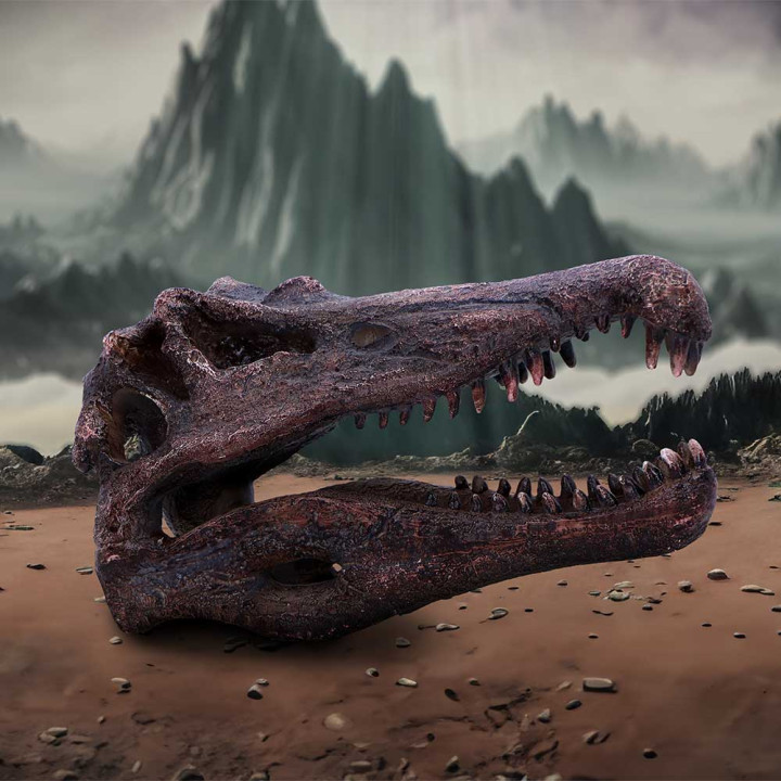 Spinosaurus Skull 16cm