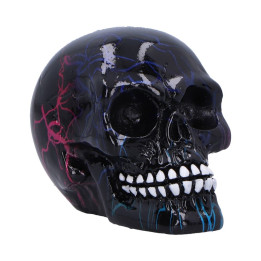 Electro (Small) (Pack of