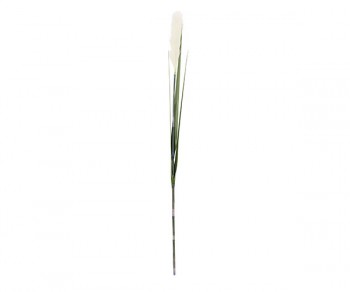 PAMPAS AVORIO C/3 FOGLIE...