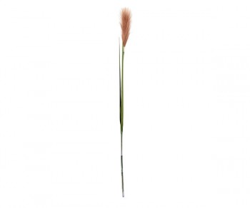 PAMPAS MARRONE C/3 FOGLIE...