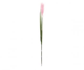 PAMPAS ROSA C/3 FOGLIE...