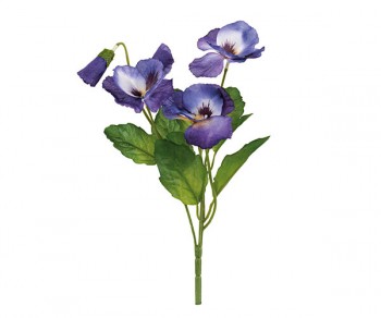 MAZZETTO PANSE VIOLA h250...