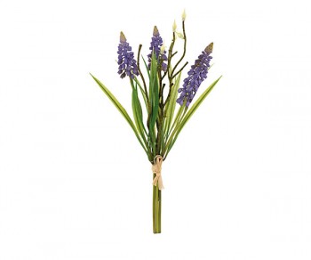 MAZZETTO 3 GIACINTI VIOLA...