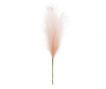 RAMO BULRUSH PESCA h690...