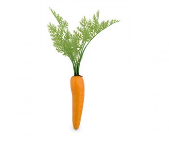 CAROTA 300 (24)