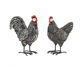 GALLINA/GALLO NERI ASS....