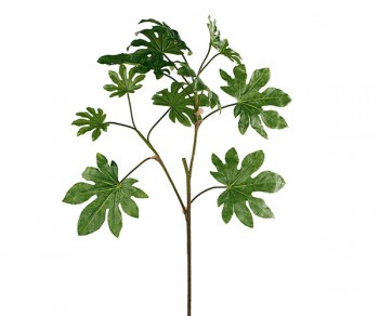 RAMO FOGLIE FATSIA h1120...