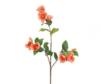 RAMO FIORI PESCA CAMELIA...