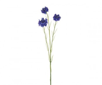 FIORDALISO BLU H.600 (Min
