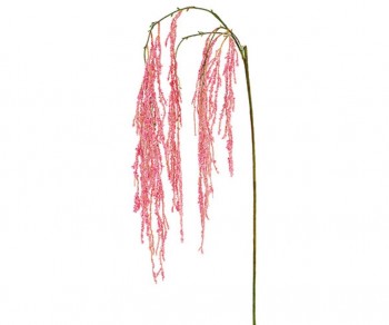 CASCATA AMARANTUS ROSA...