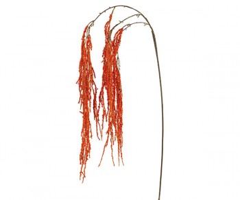 CASCATA AMARANTHUS ARANCIO...