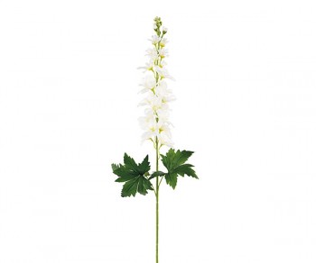 DELPHINIUM BIANCO h780...