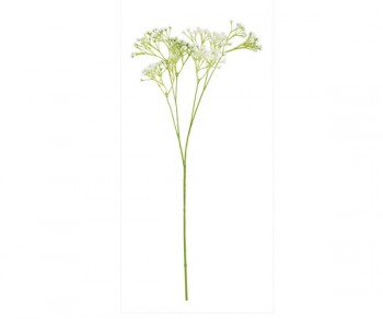 RAMO GYPSOPHILA 580 (Quant....